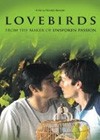 Lovebirds (2008).jpg